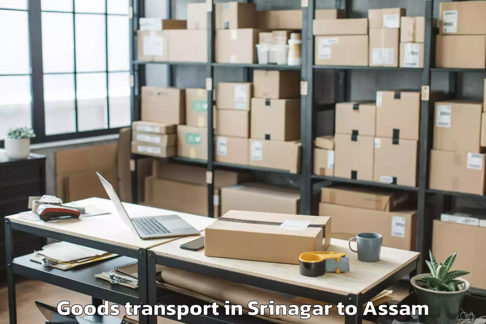 Book Your Srinagar to Kaliabor Goods Transport Today